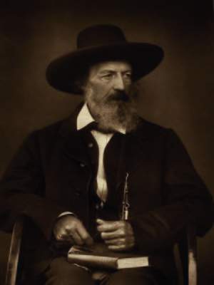 cover image of Tennyson's Poems